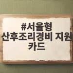서울형 산후조리경비 지원 카드 신청 방법과 사용처 총정리 서울형 산후조리경비 지원 카드