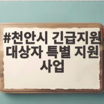 천안시 긴급지원 대상자 특별 지원 사업 위기 가구라면 지금 확인하세요 천안시 긴급지원 대상자 특별 지원 사업