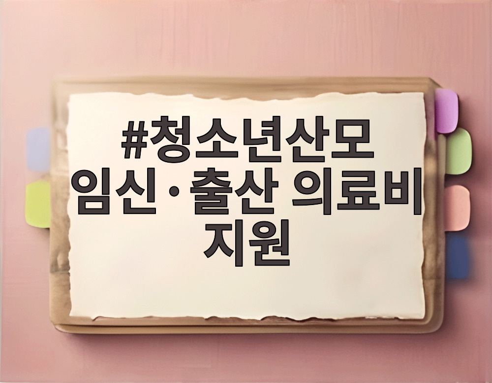 청소년산모 임신·출산 의료비 지원