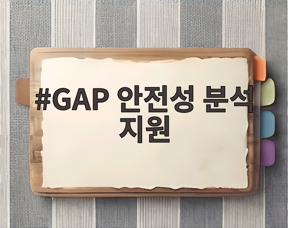GAP 안전성 분석 지원