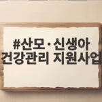 산모·신생아 건강관리 지원사업