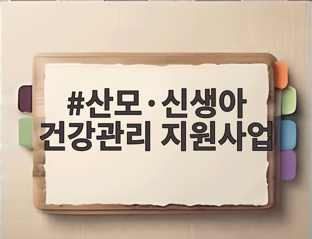 산모·신생아 건강관리 지원사업