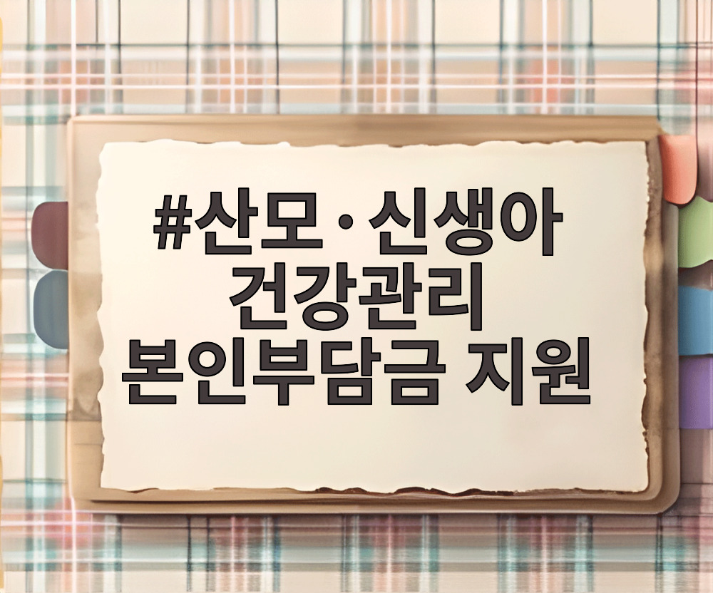 산모·신생아 건강관리 본인부담금 지원