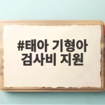 태아 기형아 검사비 지원