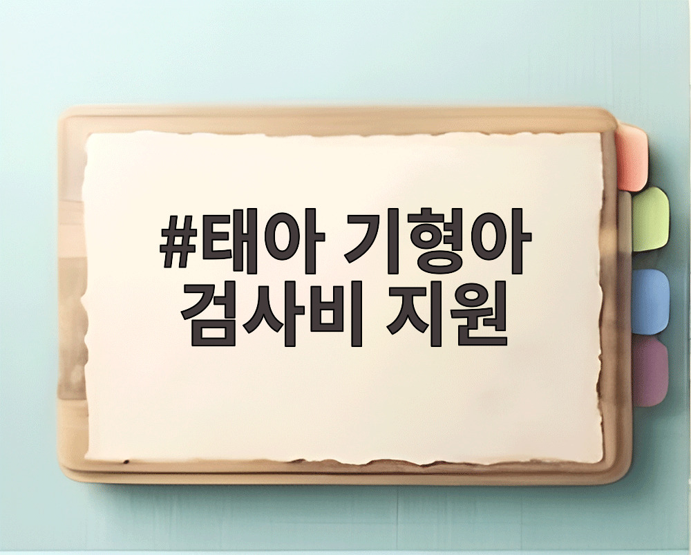 태아 기형아 검사비 지원